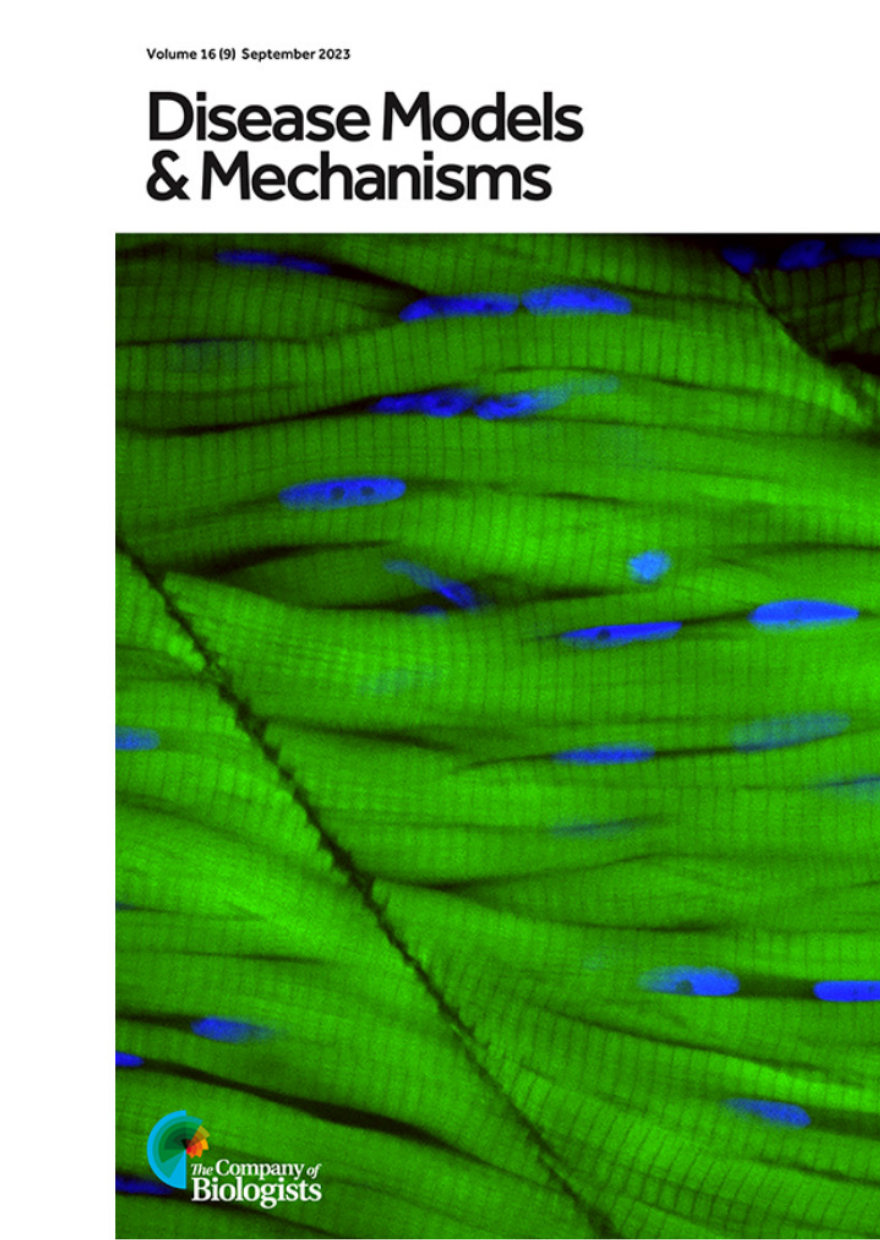 Disease Models and Mechanisms 2023 cover showing fluorescent zebrafish skeletal muscle