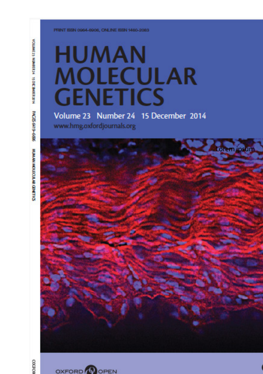 Human Molecular Genetics 2014 cover with fluorescent muscle image from Zbtb42-deficient zebrafish